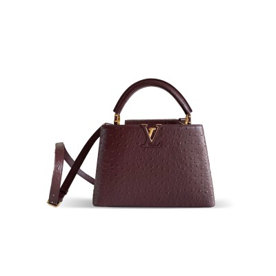 LOUIS VUITTON CAPUCINES BB N89017 (27*18*9cm) LOUIS VUITTON CAPUCINES BB N89017 (27*18*9cm)